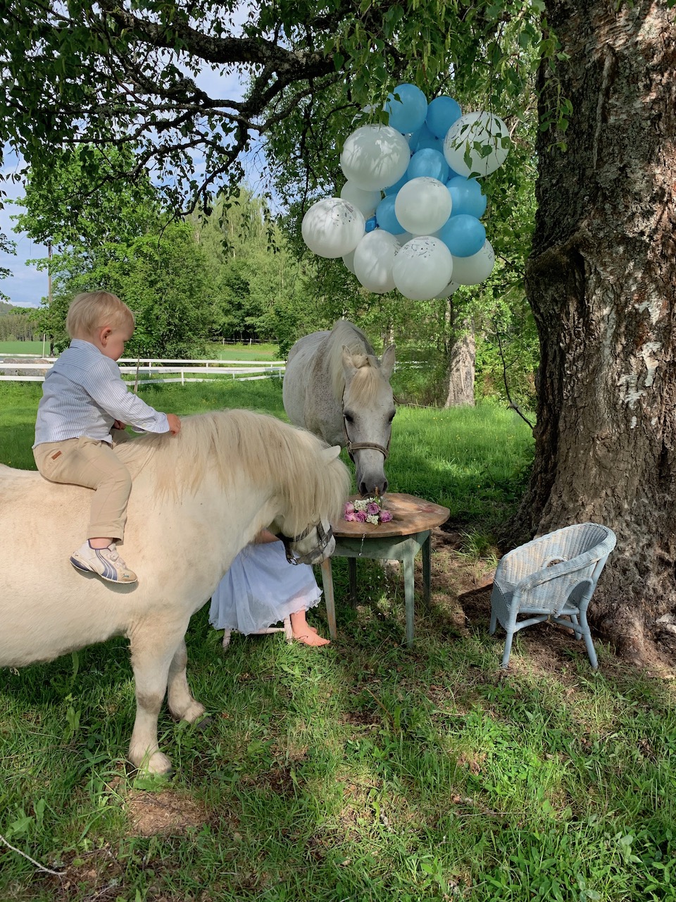 hageselksap ponni hest gutt jente ballonger ute